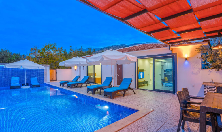 Villa larin